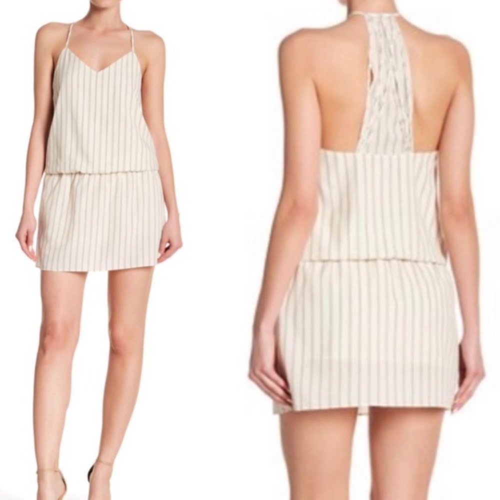 NWT Haute Hippie Mirage Minnie Dress, Small